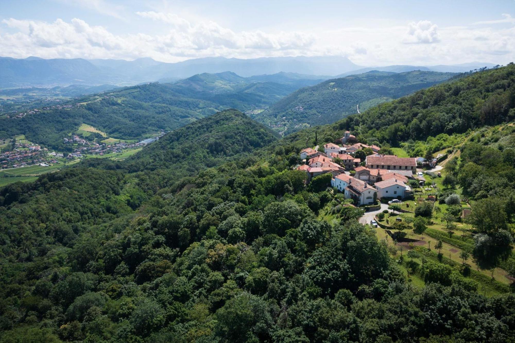 Villa Artes With Free Hot Tub & Sauna Branik Dış mekan fotoğraf